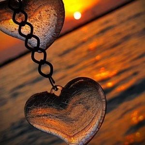 Meet your Posher, Selena